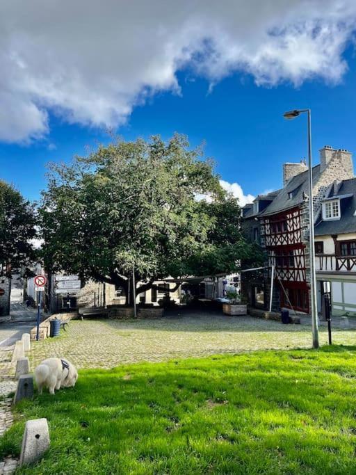 Le Cottage Breton, Hypercentre Historique Stb Saint-Brieuc Exteriör bild